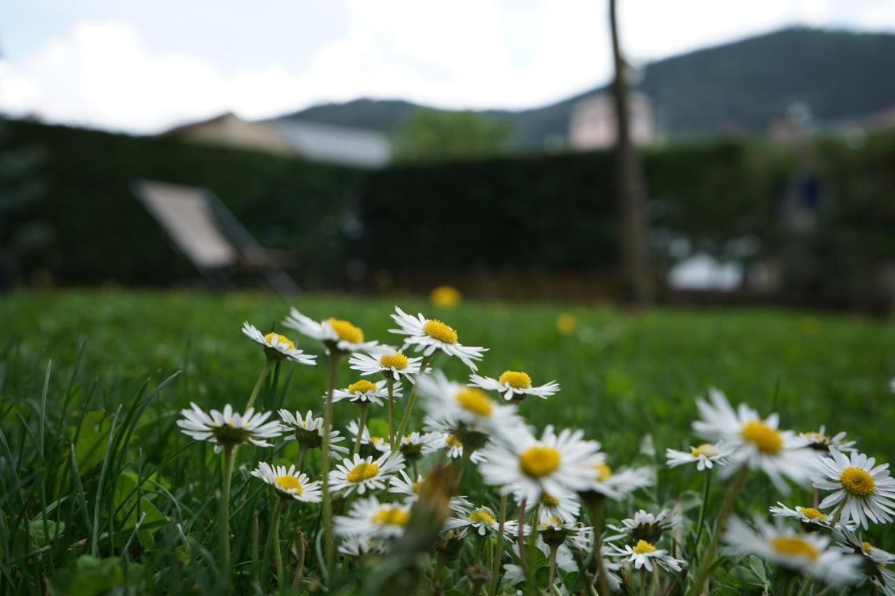 Apartamento Con Jardin En La Cerdanya Err Luaran gambar
