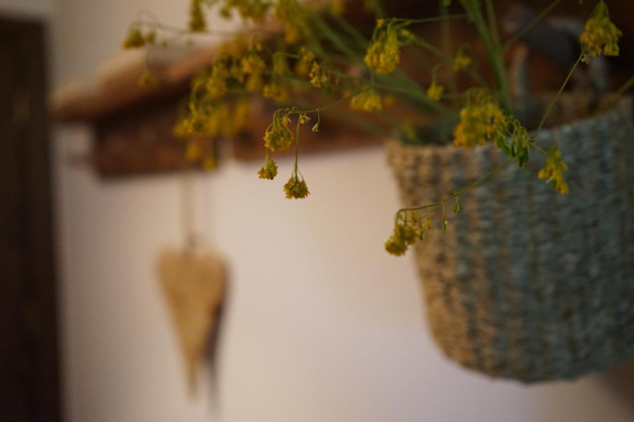 Apartamento Con Jardin En La Cerdanya Err Luaran gambar